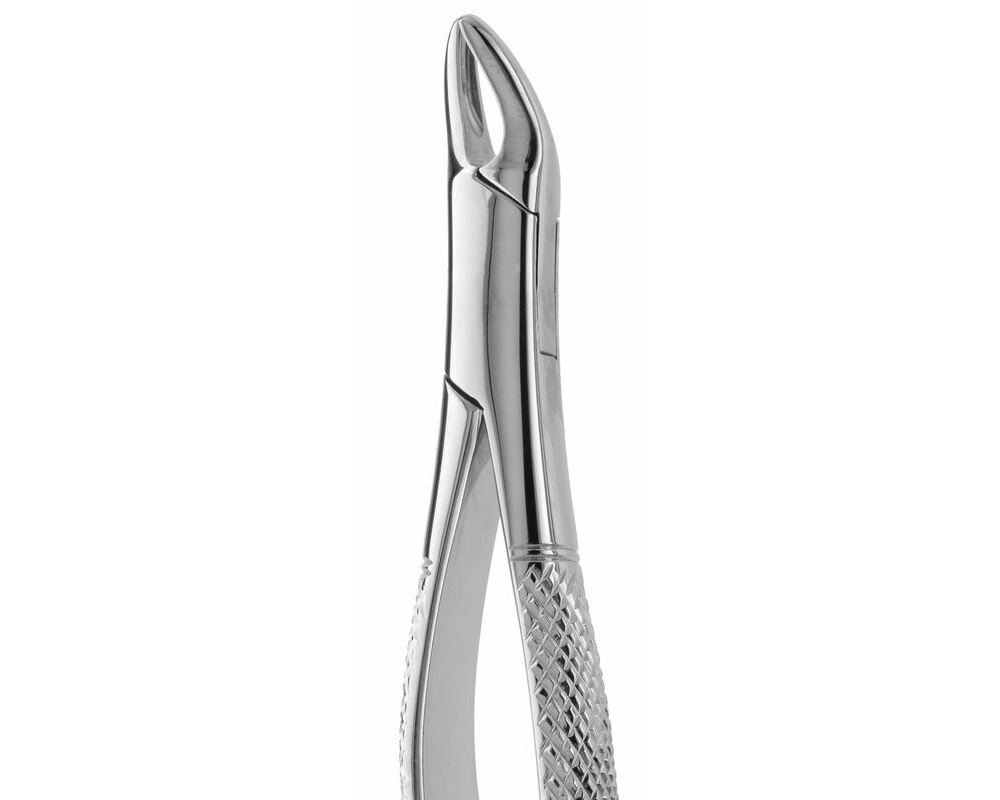 thumbnail image 2 of Premium Instruments 150 Upper Root Forceps – Stainless Steel Dental Extraction Tool For Upper Teeth 2 of 4