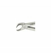 Set Of 5 Cow Horn Extracting Forceps #23 - For 1st & 2nd Lower Molars, Stainless Steel Dental Instruments