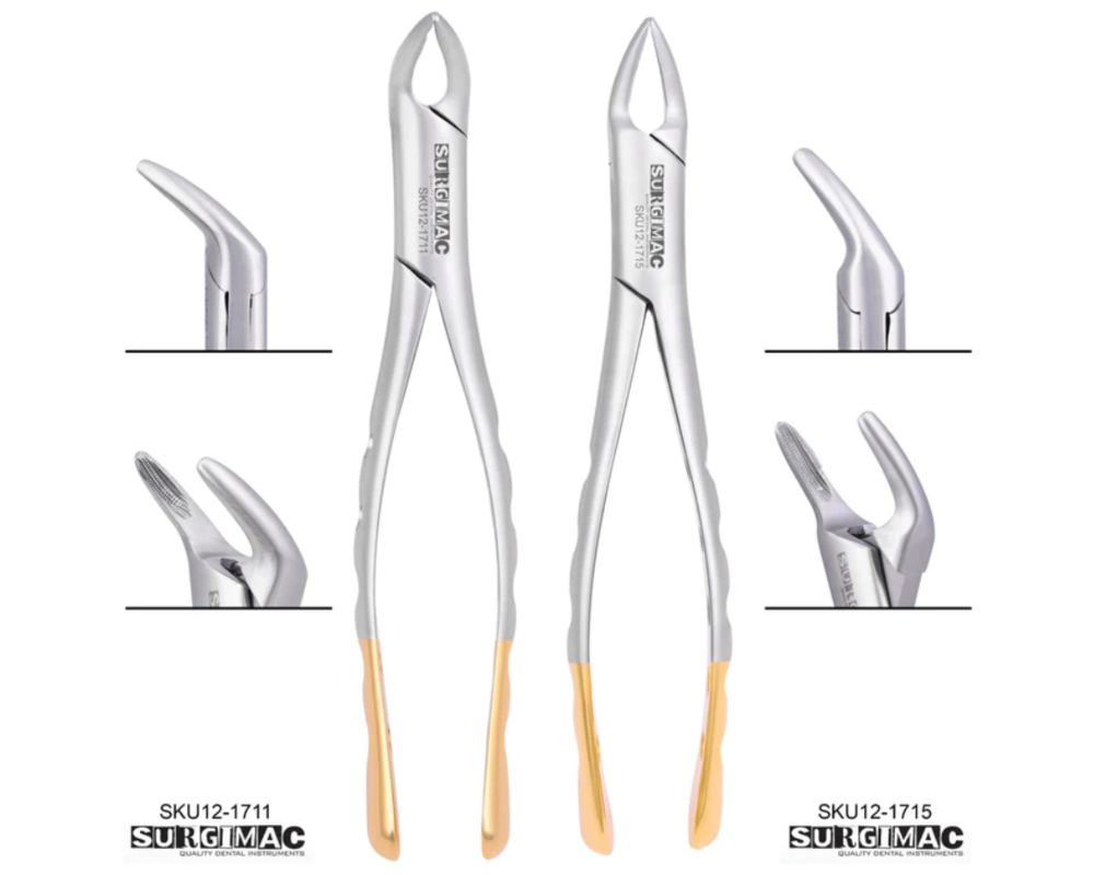 Extraction Forceps (set of 150 and 151) 121711 and 121715