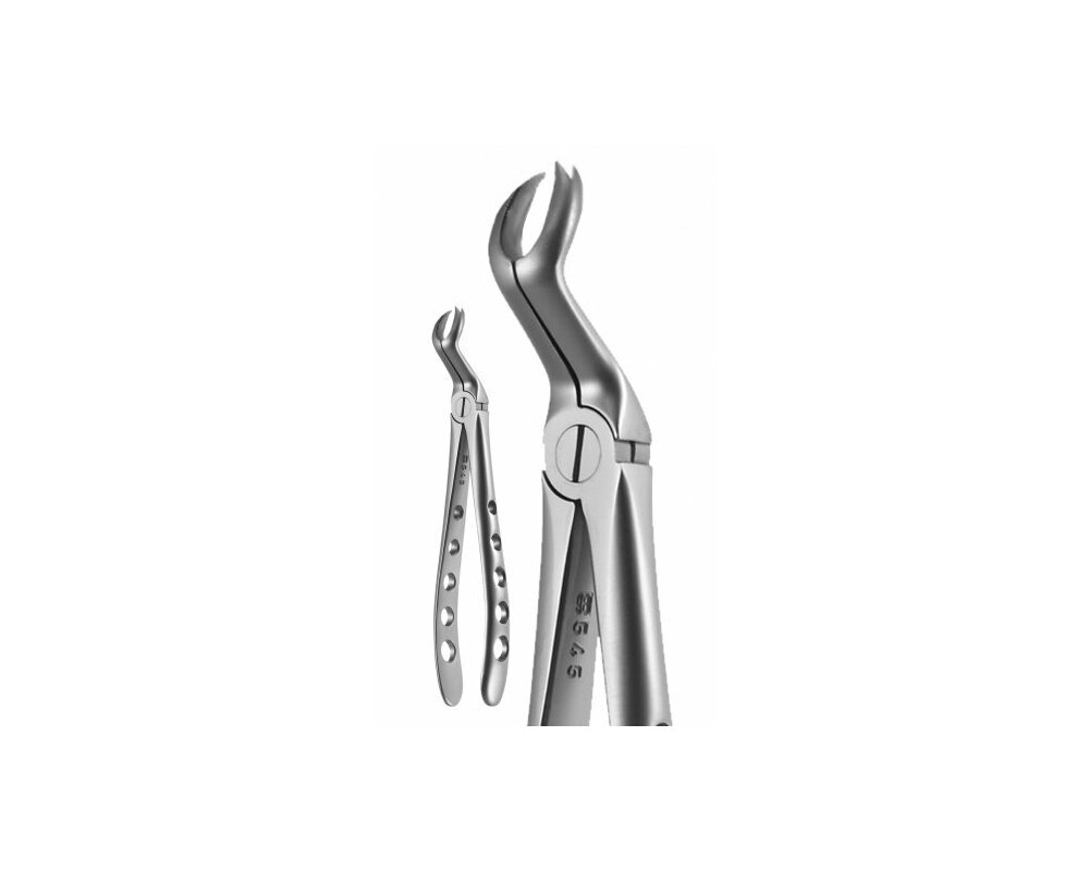 Silver plus & G-Wedge and Forceps コンポジットタイト シルバープラス Ｇーウエッジ 中古