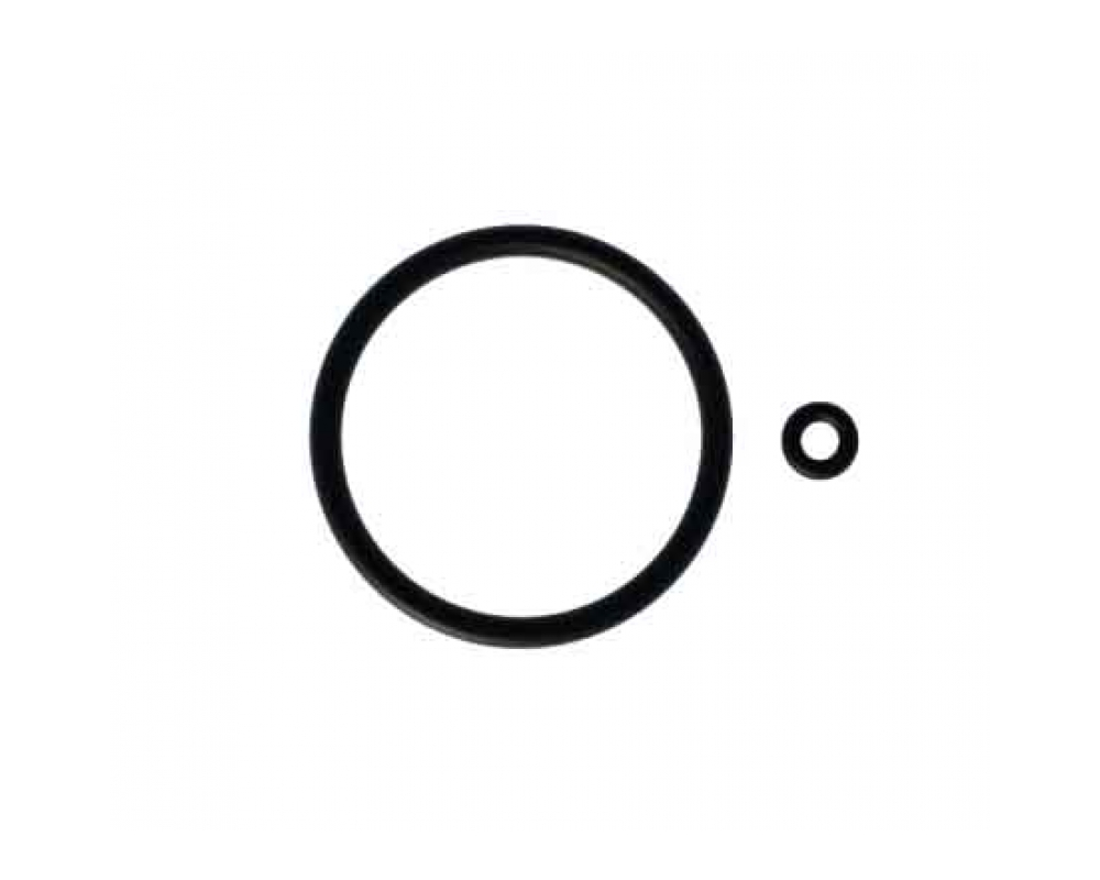 O-Ring for NEWTRON Slim & Slim B.LED Handpieces | E15002 | Supply