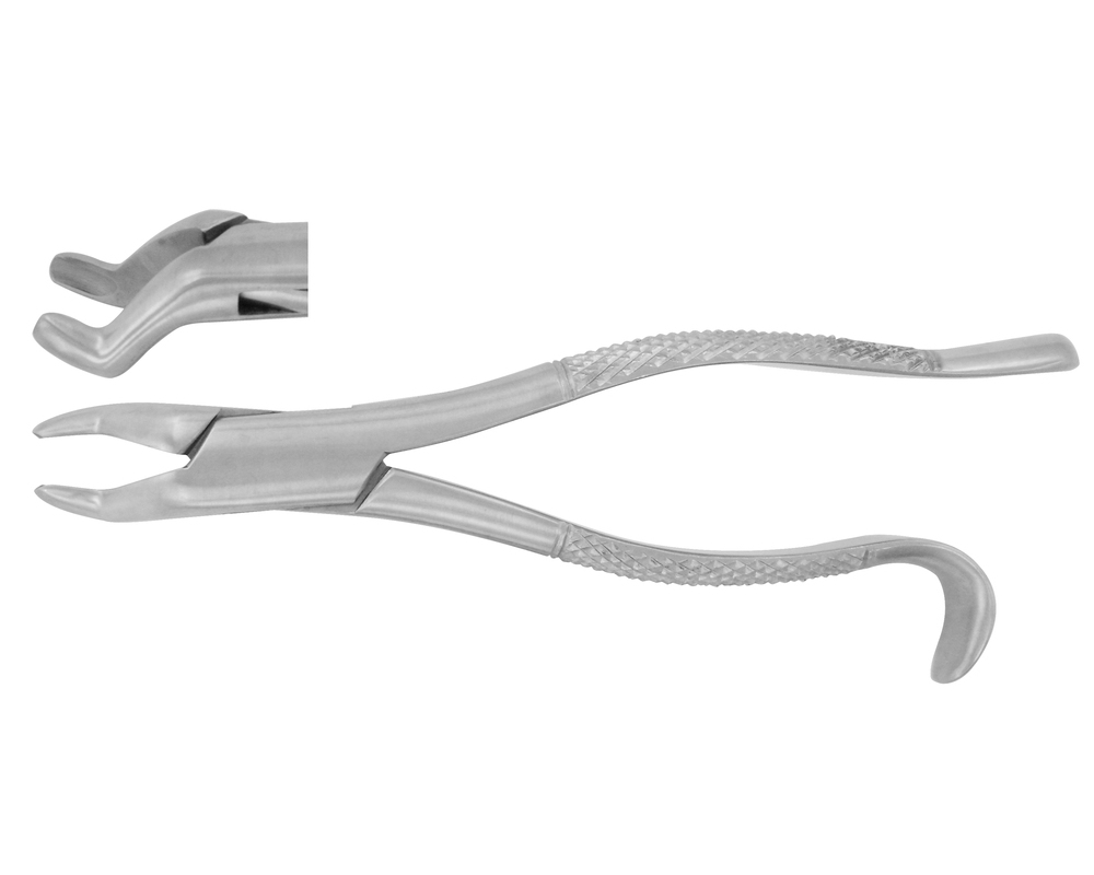 S.S Dental Extracting Forceps #210S – Stainless Steel, Atraumatic, Surgical Grade